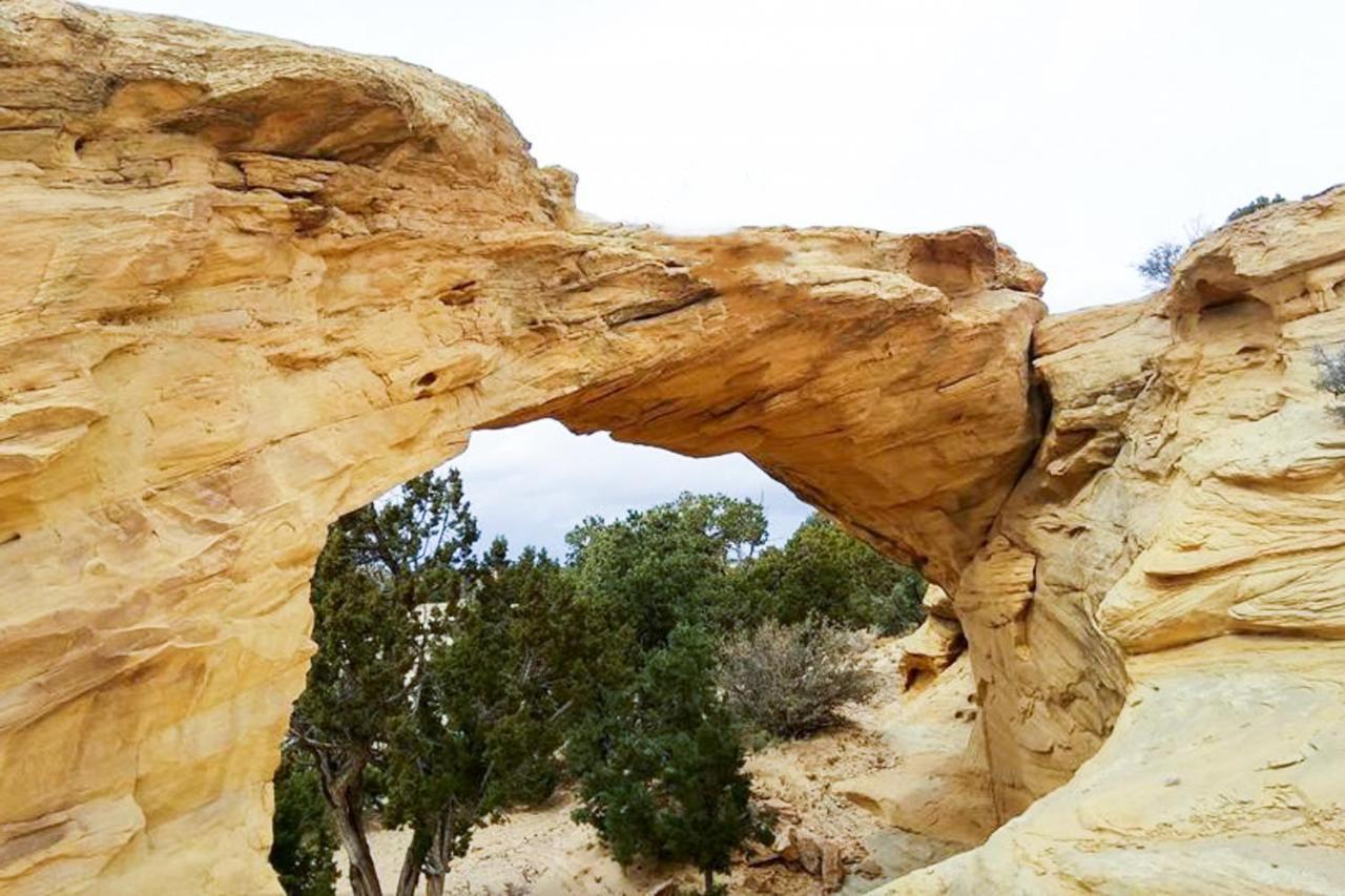 Red Cliff 5B Leilighet Moab Eksteriør bilde